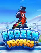 เทคนิคเด็ด สูตร บา คา ร่า mm8bet แบบทดลองเล่นที่มือใหม่ต้องลอง